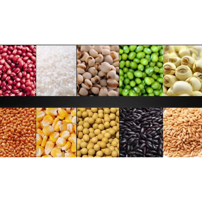 آلة طحن الدقيق الكهربائية التج - مراجعة Corn Grinder Machine Electric وسعره